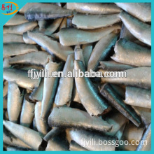 IQF or BQF Frozen Sardine HGT For Canning (Sardinella Aurita)